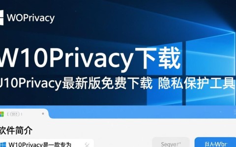 W10Privacy最新版下载安全吗？如何正确使用清理隐私？