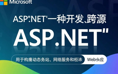 aspnet分类，如何高效管理和优化ASP.NET应用程序的分类结构？