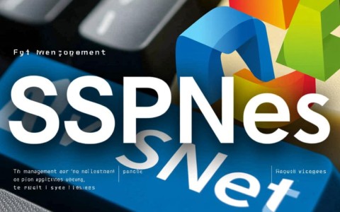 aspnet字体支持哪些常用中文字体？兼容性如何？