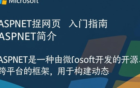 ASP.NET编写网页时，如何实现高效与安全的代码结构优化？