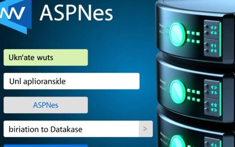 asp.net写入数据库时，如何确保数据准确性和完整性？