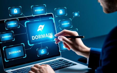 批量管理域名时，有哪些高效策略和潜在风险需要注意？