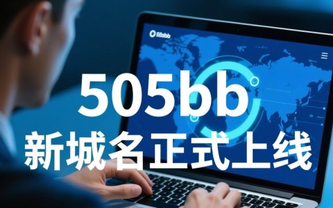 505bb新域名背后含义及变更原因揭秘，是何方神圣主导？