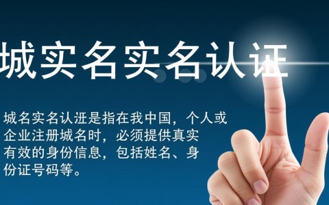 如何快速查询并确认域名是否已进行实名认证？