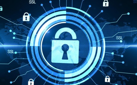 如何高效进行批量查询SSL证书？揭秘最佳实践与工具选择！