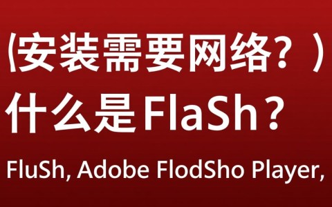 Flash安装是否需要网络连接？安装过程中对网络依赖性分析。