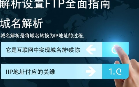 如何正确设置域名解析以实现FTP服务访问？